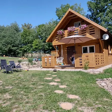 W Starym Sadzie * Radkow