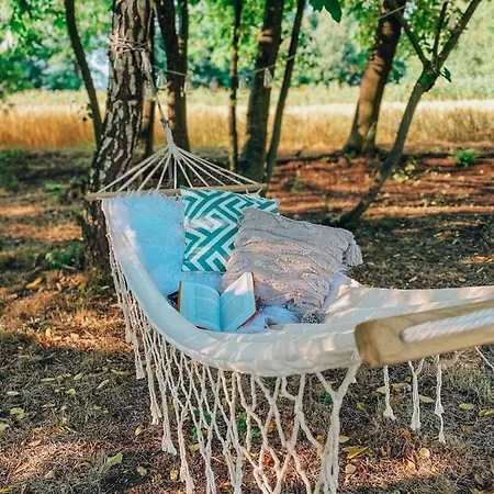 Dom wakacyjny W Starym Sadzie *