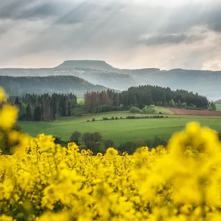 Dom wakacyjny W Starym Sadzie *