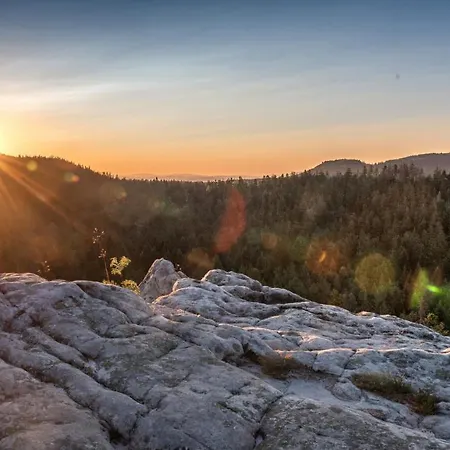 W Starym Sadzie Dom wakacyjny *