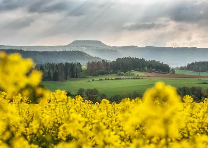 Tatil Evi W Starym Sadzie *