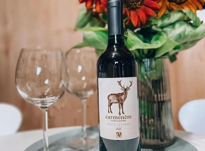 W Starym Sadzie ラトクフ