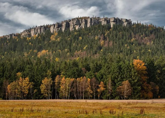 別荘 W Starym Sadzie ラトクフ