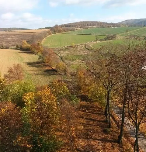 別荘 W Starym Sadzie *