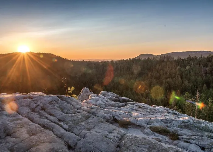 W Starym Sadzie 別荘 *