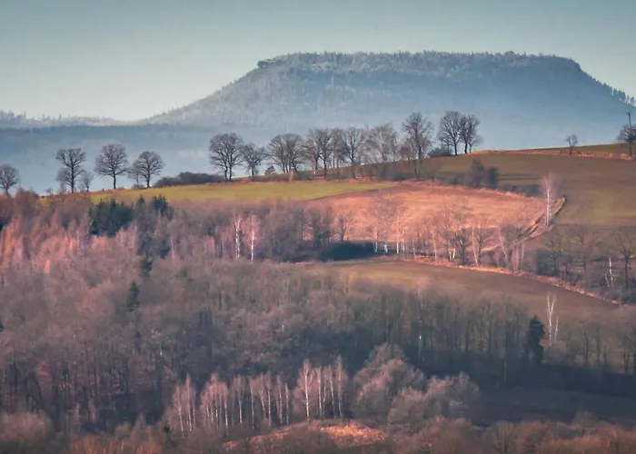 別荘 W Starym Sadzie